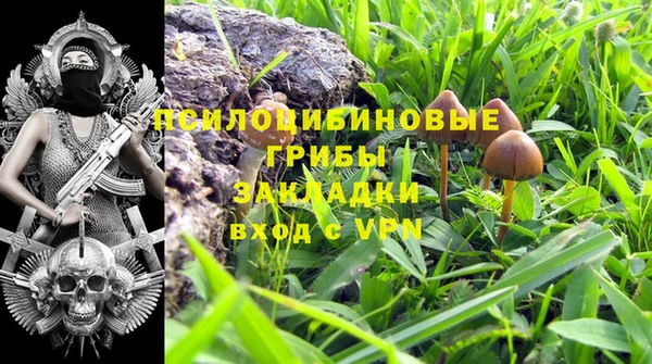 spice Михайловка