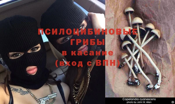 марихуана Михайловск